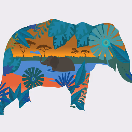 Item #106773061105031140347861942111569732008511771116097889417499056067422548131841 Media