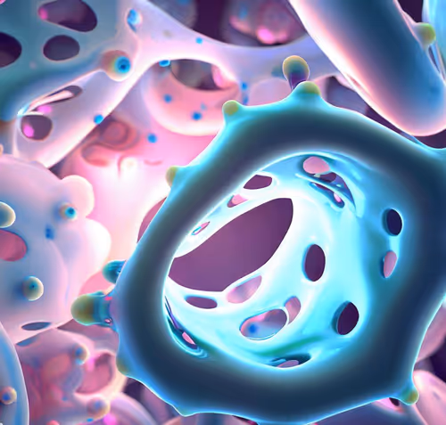 Item #15900858524274065462397165605509062893973264951757804275935713310427939078145 Media