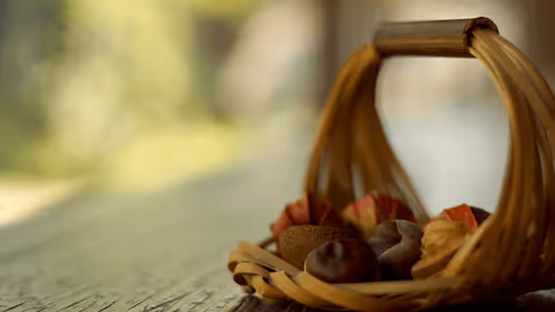 Untitled Collection #435006392