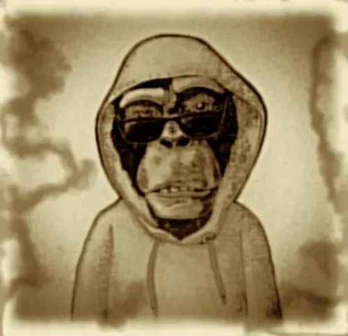 Untitled Collection #262252296