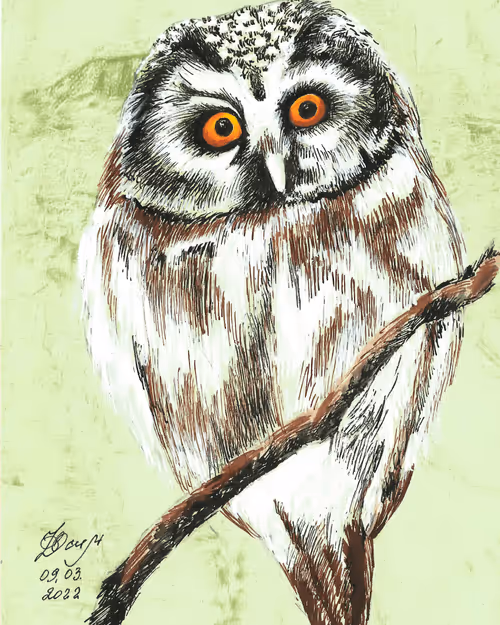 Item #272326784736274056950604951025850415985635919028263811604277029330221006849 Media