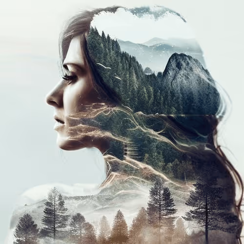 Item #88647399349502133881014823748692812568475565997763247752439359763309576323073 Media