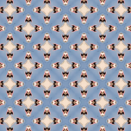 Item #36922569608931684653657988199360227008339850878002723071111472963545248825345 Media