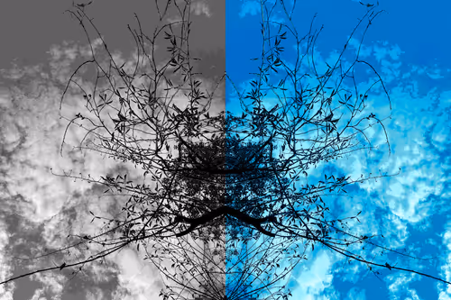 Item #377444840868637420415717451963518219641702370743152615076534653914506592257 Media