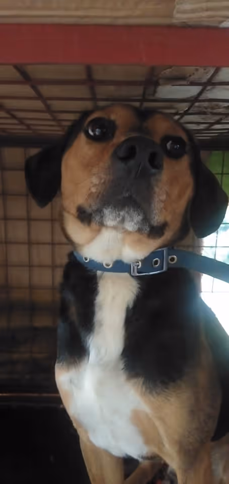 Item #23439807421783349604606688817165201350165750151979961366033252230401758330881 Media