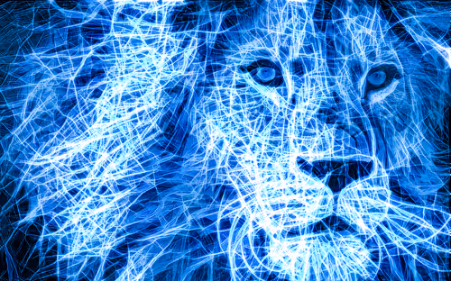 Item #41835371952023020745860012220635076645506524094652361390294664916918870212609 Media