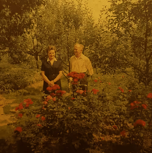 Item #99229842247812193492092246635526113316383887000586294441888985021744978853889 Media