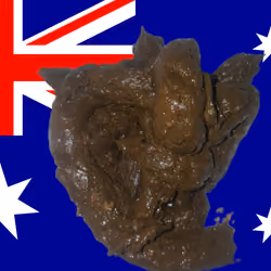 SHITTY FLAG OF AUSTRALIA