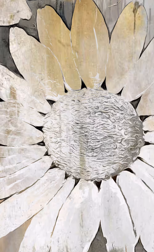 Item #20652599347766651817314997780074045281073956978484202770790908301580693405697 Media