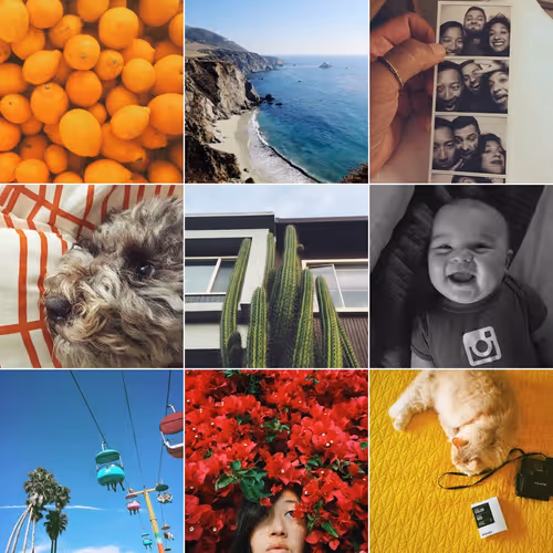 Untitled Collection #29040152