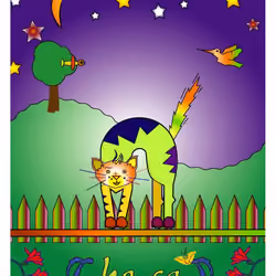 The Cat