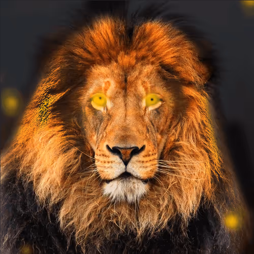 Item #62154138793158719618564434187822990167647665880093483416900166039727855632385 Media