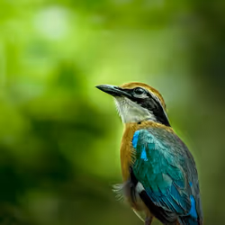 61684684013370051227163866082320023750896296023852719411798081123723404902425