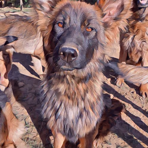Sacha and her siblings