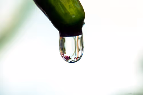 Item #71581581597643149467168648258107612895954652737946138187853336699826306285569 Media