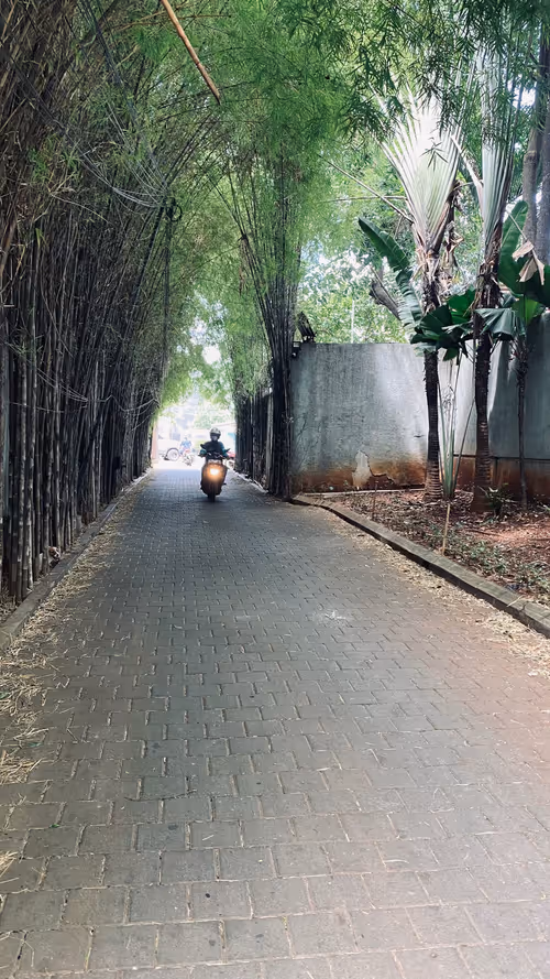 Item #67351599835119222926472791054605114312857726710672675867915900148959949094913 Media