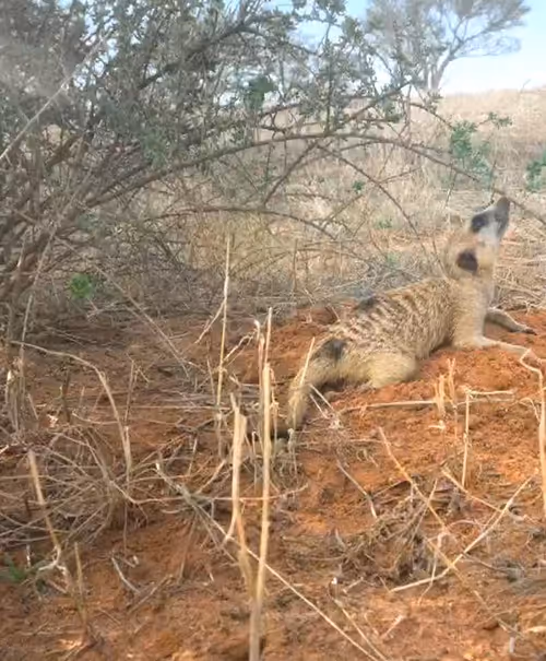 Item #114889871137144360899961509634196120936004573759111492612548624814137082380298 Media