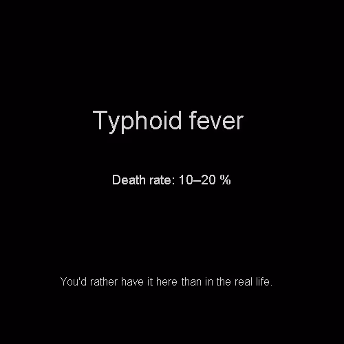 Item #81808085032476359797455255547863298923837726005960725874573045524428845220840 Media