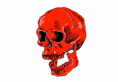 Item #30208536907841222554238285863228669239836651640701938690802722946033716822017 Media