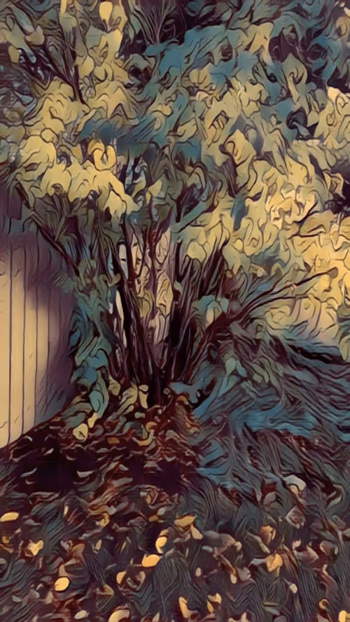 Item #47363753603702379708308966357623410528548816847410412850833506821305255592036 Media