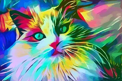 Trippy Ragdoll Cat