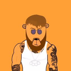 #BEAR37