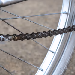 Chain