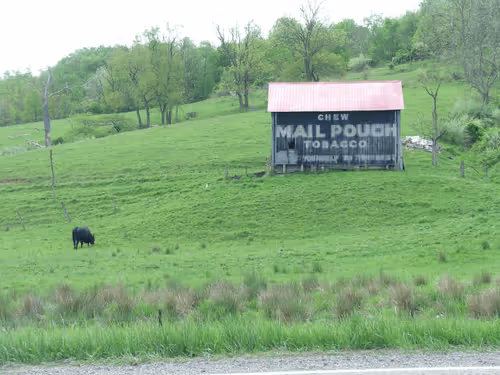 Item #91931664106156571735263247446027128189393314859416519894388302453262134542337 Media