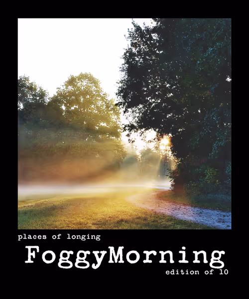 Item #54092708251689304060008626725907944876680074354438048784149165898034524979210 Media