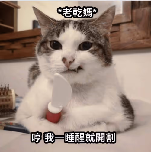 Item #99088146846829205363143054260818619213089443116556611373401242325041088036865 Media