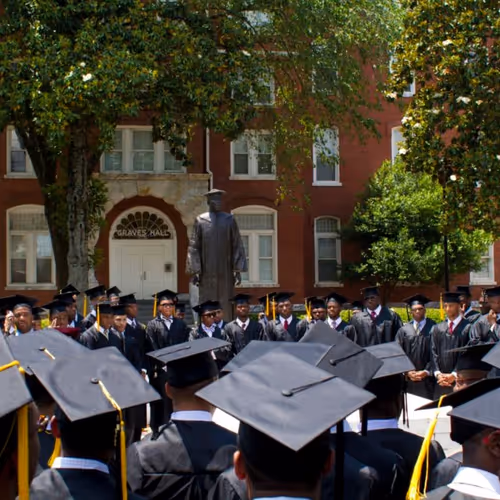 Untitled Collection #127674652