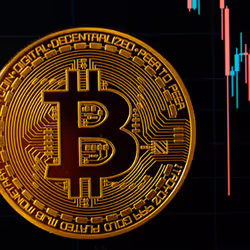 Crypto King