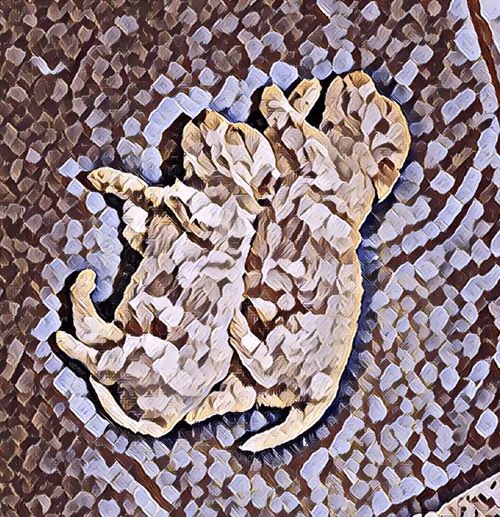 Item #49775347469148338497975615295710857595953595610684904343872467230429506699284 Media