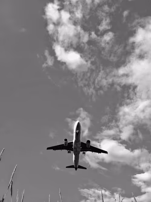 Item #36816001644917254617906175698674191035781868216999975889902342333265635966977 Media