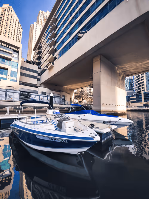 Item #112667008341302243302689137385956133130618064470449479276921417626067557941249 Media