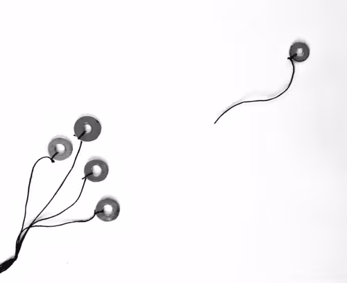 Item #47677938298297795504659062027794795077430824306360133298295084638178442739713 Media