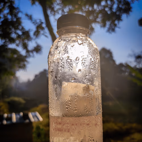 Untitled Collection #201711094