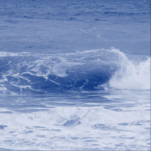 Item #103501458131411896080552526254626277361823294681918938022776603317162892853249 Media