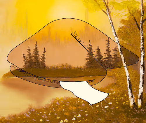 Item #56177743258238353915692039261457950691196406802314425732675602449735656407140 Media