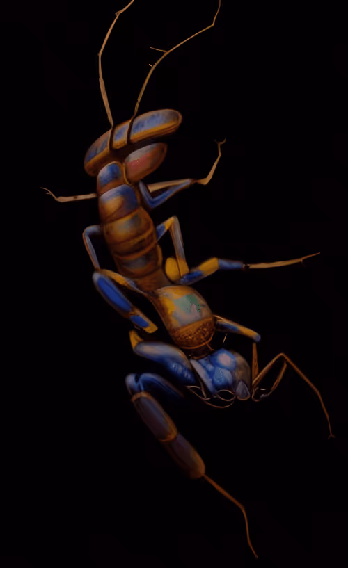 Item #79787343889813582877510155558909016850160649261811296348419943805491297124353 Media