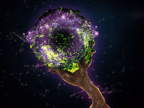 Item #96556919498889397774313393585935910974991317057561549819289360897769130164225 Media