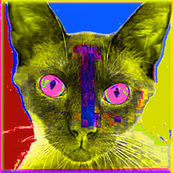 88960586343788958426741174802939624374750119757838653668849977594654283005961