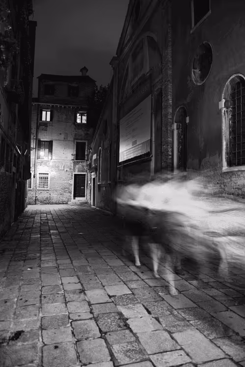 Item #16169064393399629467859942900905405490006492366557123064973208563631186247690 Media