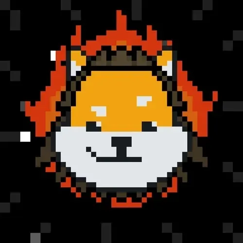 Rocket Shiba #5882