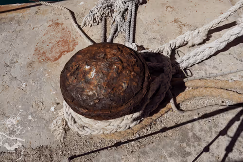 Item #99206175731752603969632246751396839615347692654100145142238794246718014619650 Media