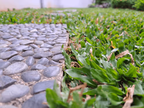 Item #57763339061833296060603087174565949851954086841341983320194873089088196444161 Media