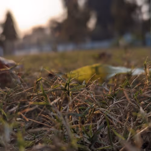 Untitled Collection #240234634