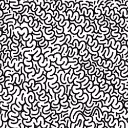 CryptoBrain #1