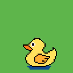 Duck#73