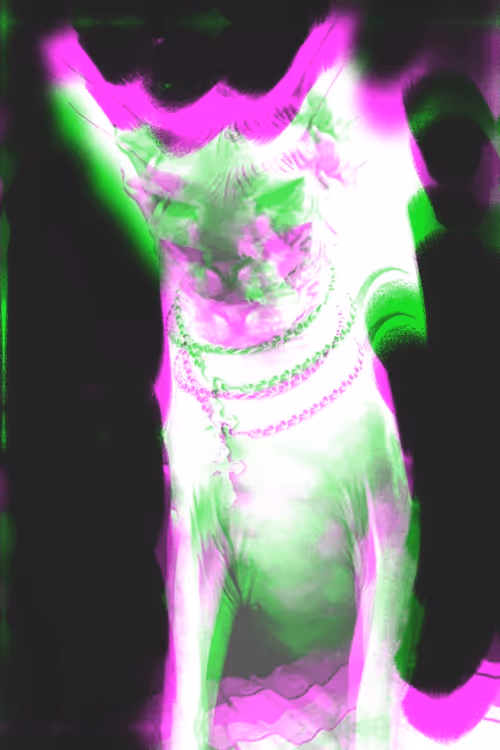 Item #22777017725016447267189535712186364108271002544022421375049282309446518702081 Media